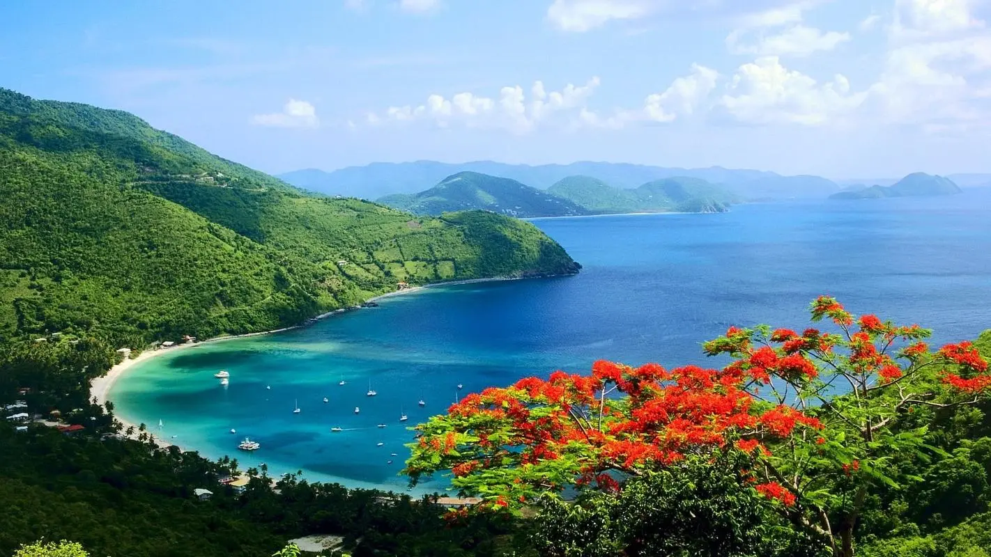 节能电子节能